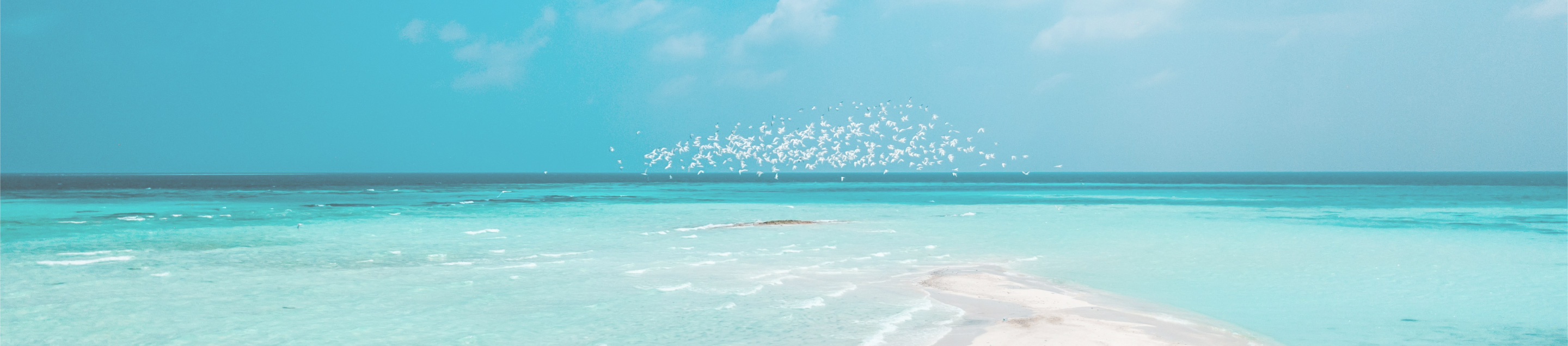 Aboutメインビジュアル