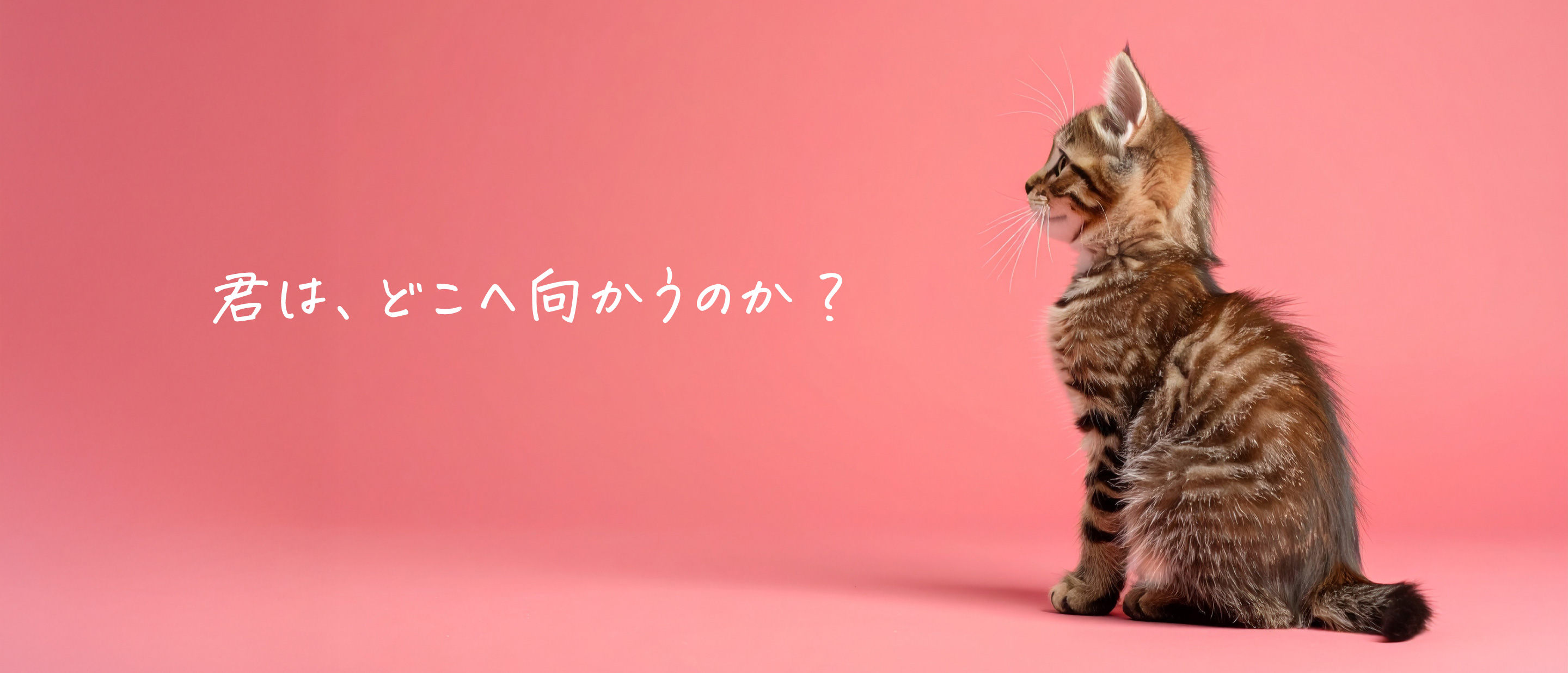 Recruit メインビジュアル